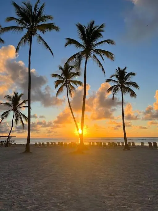 Exclusive Brand New Condo 1 Bedroom At Cap Cana Punta Cana 0*,  Dominican Republic